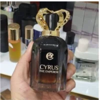 ادکلن کوروش بزرگ مردانه حجم 100 میل