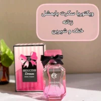 ادکلن ویکتوریا سکرت بامبشل زنانه حجم 100 میل با کیفیت عالی